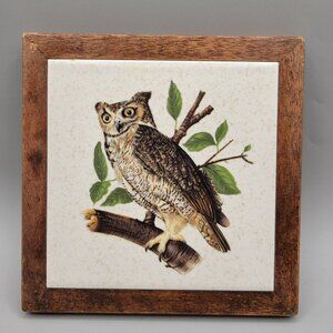 Vintage Owl Ceramic Tile With Wooden Frame Wall Decor or Trivet
